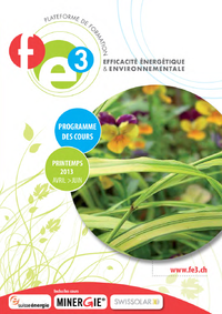 Programme des cours FE3 - Printemps 2013