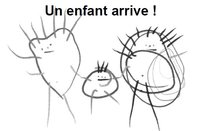 Couverture de la brochure «Un enfant arrive» - Lien vers la brochure en format PDF