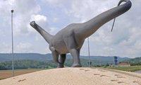 Trace de dinosaure dans le Jura - Lien vers le reportage réalisé le 4 août 2010 par swissinfo sur les traces de dinosaures dans le Jura