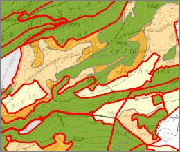 Apercu du Thème Forêt - Lien sur le Thème Forêt du Géoportail