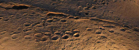 Traces de dinosaures dans le Jura - Lien vers le reportgae de SwissInfo