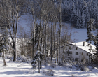 Franches-Montagnes