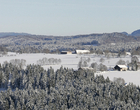 Franches-Montagnes 2