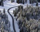Vers l'étang de la Gruère