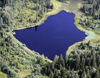 Etang des Royes 