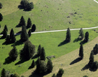 Plateau de Pleigne 