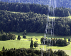 Paysage 
