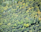 Couleurs d'automne 