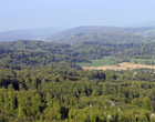 La Baroche 