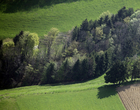 Clairière
