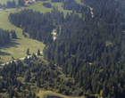 Etang des Royes, Saignelégier en arrière-plan