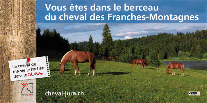 Photo panneau Vous êtes dans le berceau du cheval des Franches-Montagnes (ouverture dans une nouvelle fenêtre)