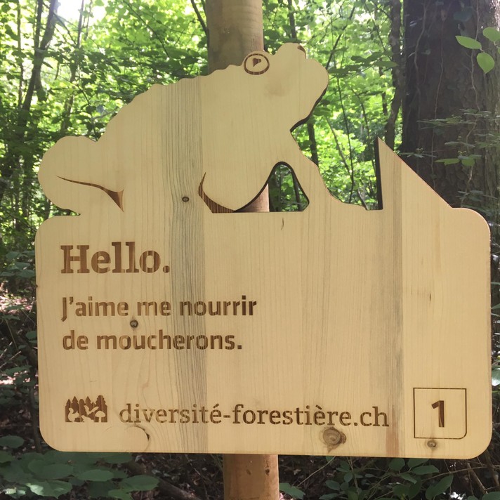 Source : Triage forestier de La Baroche
