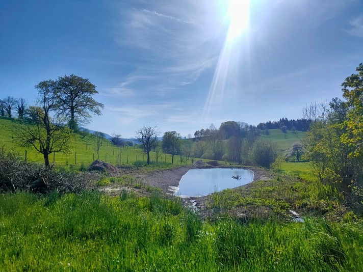 L’étang de «Rière Chaumais» à Montsevelier. Source : Diana de Delémont