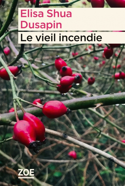 Couverture du livre "Le vieil incendie" de Elisa Shua Dusapin