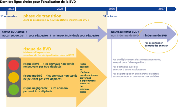 Infographie lutte BVD