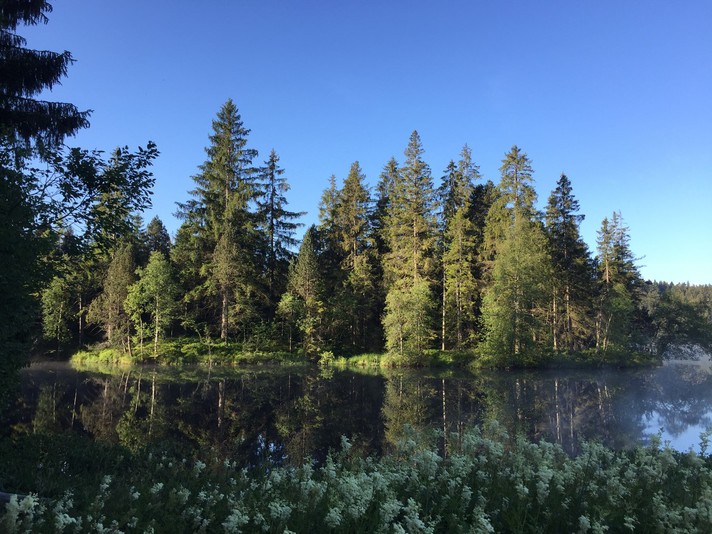 Tourbière de la Gruère