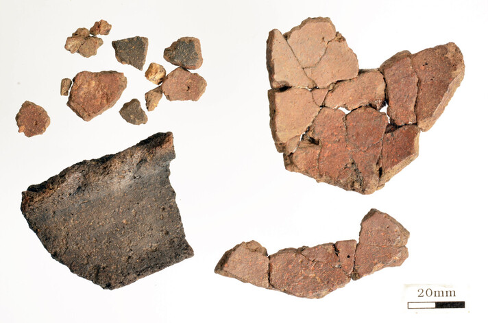 Fig. 1 Bord décoré et fragments de panses de récipients en céramique après lavage, remontage et consolidation par le laboratoire de conservation-restauration. Photo OCC-SAP