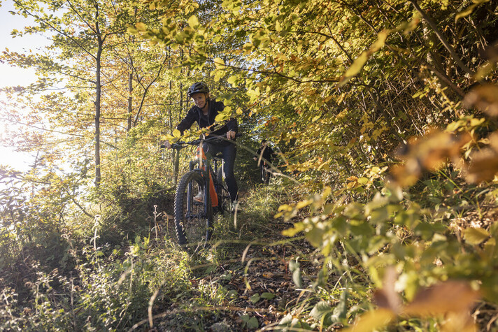 Photo d'une adpte de VTT technique en forêt. Source: Jura Tourisme