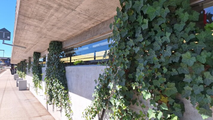 Façade végétalisée à la gare de Delémont