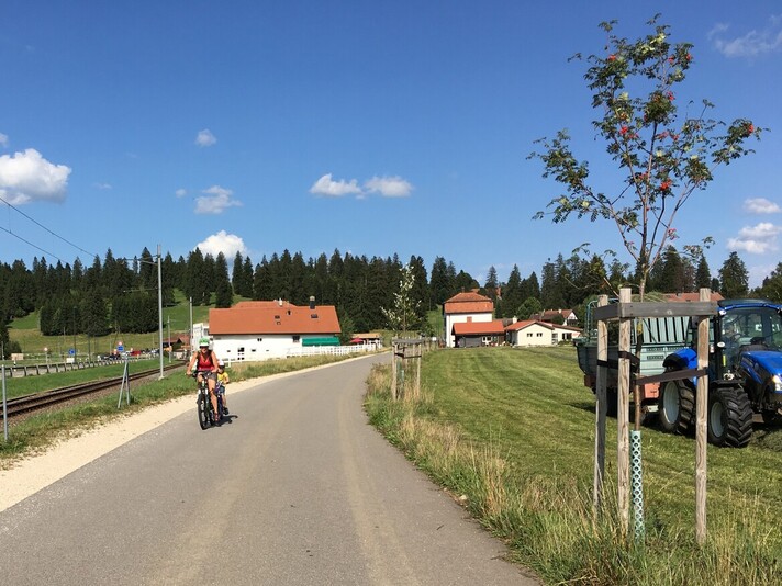 Itinéraire cyclable arborisé Le Noirmont - Les Emibois