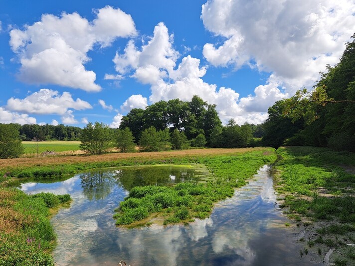 Etangs de Bonfol - Champs de Manche (Crédit: ENV)