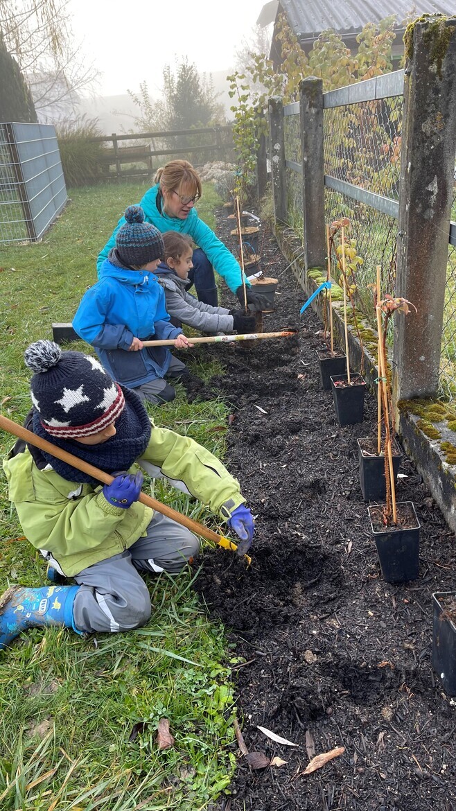 Des élèves et leur enseignante en plein travaux de plantation de haie indigène à l’école de Glovelier