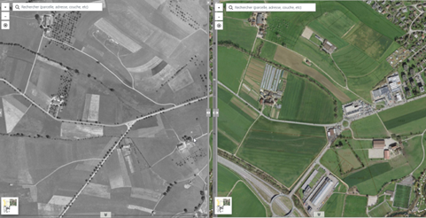 4) Des arbres bordent les routes cantonales de plaine, par exemple, à la sortie de Delémont en direction de Develier 