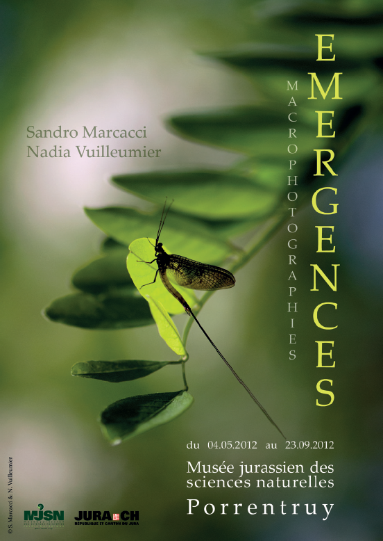 Affiche de l'exposition Emergences, consacrée aux insectes aquatiques - Lien vers la brochurePDF