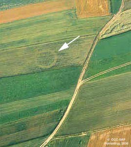 Vue du tumulus repéré par avion lors d'un vol de prospection au-dessus d'un champ de céréales arrivant à maturité après une période relativement sèche.