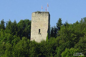 La tour de Milandre dans son environnement naturel.